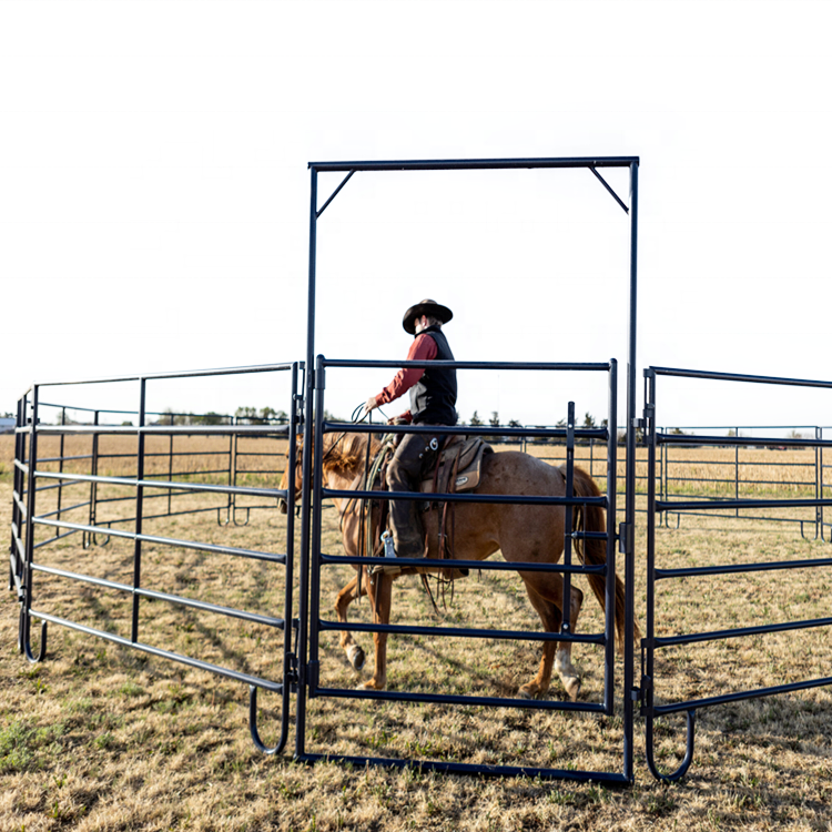 12ft 16ft round pen used cattle corral panels for sale