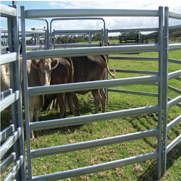 cheap 6 rail heavy duty Round pen panels Livestock Cattle Panels Horse stall Corral panels fence for sale