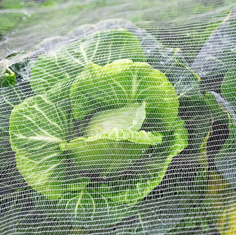 40 50 60 Mesh Agriculture Insect Net Greenhouse Garden HDPE Plastic Fly Screen Proof Mesh for Vegetable Protection