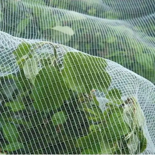 White Anti Bee Net Hail Net Hail Proof Net For Tree Crop Protection,Bird Insect Protection Net,Garden Fish Pond Net