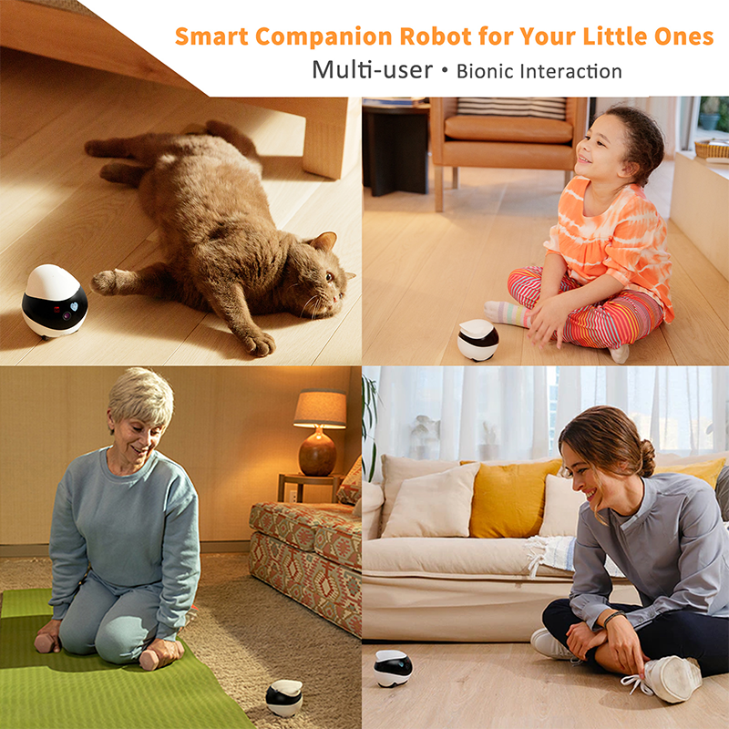 2024 Smart App Wireless Control Enabot se Pet Companion Robot Camera Laser Automatic Electron Interactive Robotic Cat Toys