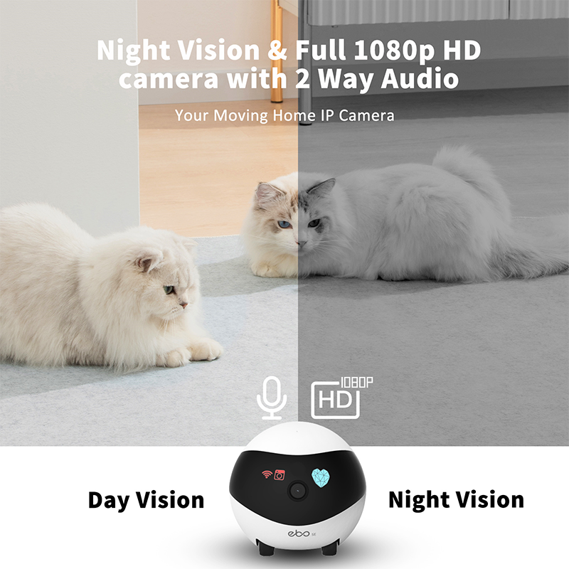 2024 Smart App Wireless Control Enabot se Pet Companion Robot Camera Laser Automatic Electron Interactive Robotic Cat Toys