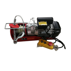 Mini 1000kg 1200kg 400kg 800 kg 500kg 125kg 300kg 200kg Small Wire Rope Electric Winch Hoist