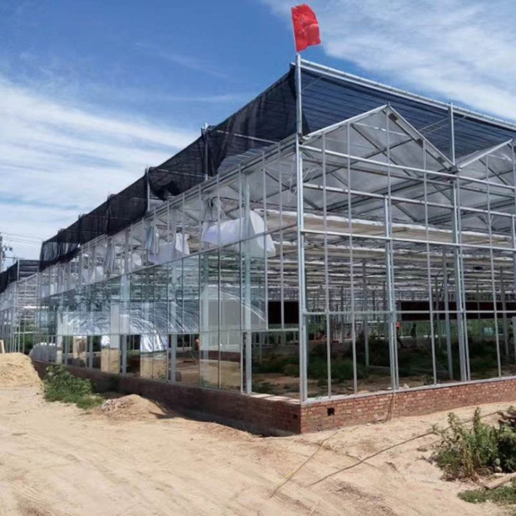 Hot selling Low-cost Multi-span greenhouse Glass external shading system