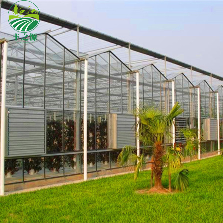 Greenhouse Garden Green House Outdoor Rainproof Plant Cover Backyard photovoltaic solar glass greenhouses