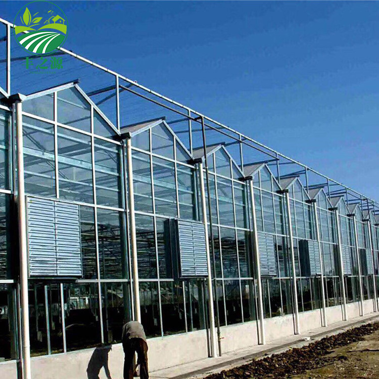 Commercial Agricultural Green House Use Hydroponic System Invernadero Industriales For Vegetable Growing