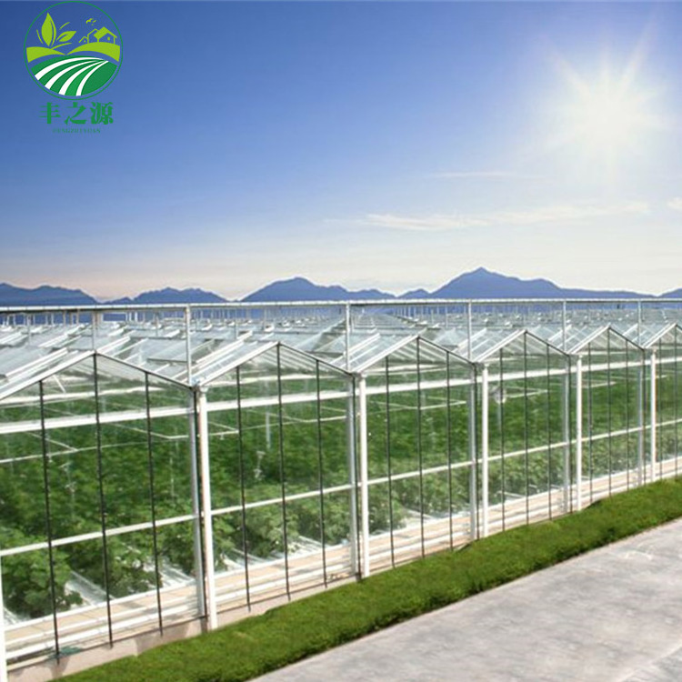 Factory Direct Sales Photovoltaic Solar Multispan Glass Greenhouse For Vegetables