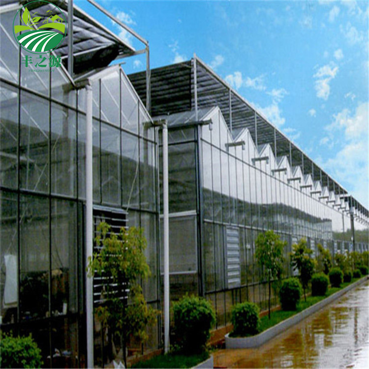 Factory Direct Sales Photovoltaic Solar Multispan Glass Greenhouse For Vegetables