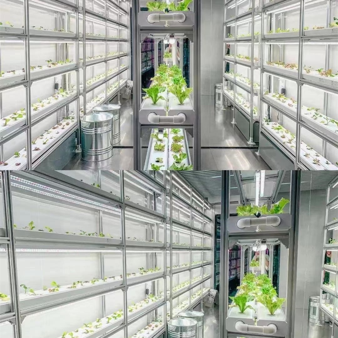 Shipping container farm container greenhouse vertical farming hydroponic growing system smart farm