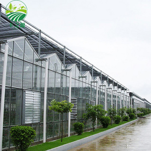 Commercial Agricultural Green House Use Hydroponic System Invernadero Industriales For Vegetable Growing