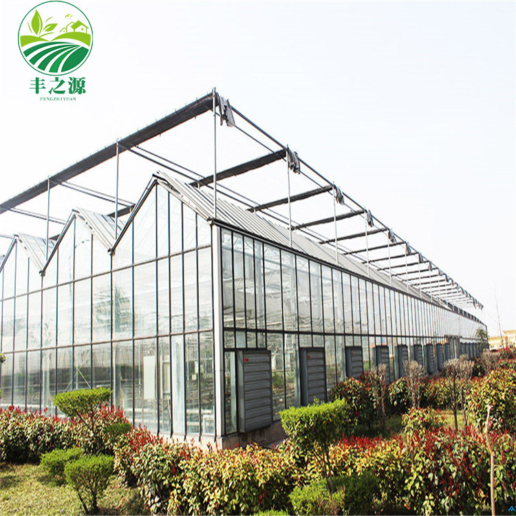 Commercial Agricultural Green House Use Hydroponic System Invernadero Industriales For Vegetable Growing