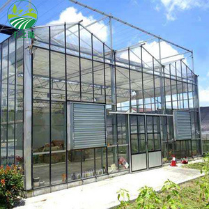 Factory Direct Sales Photovoltaic Solar Multispan Glass Greenhouse For Vegetables