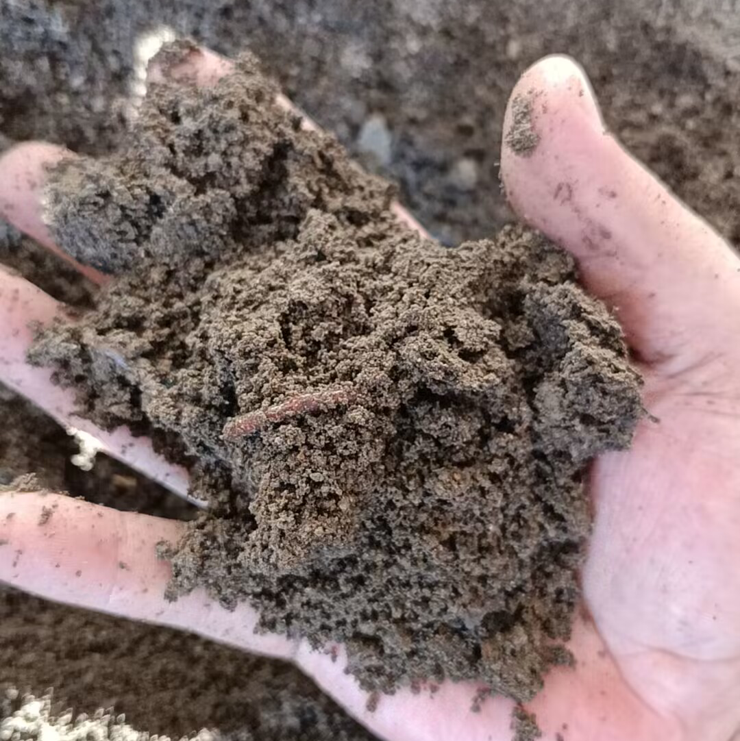 Vermicompost Bio-Organic Fertilizer  Soil Conditioner