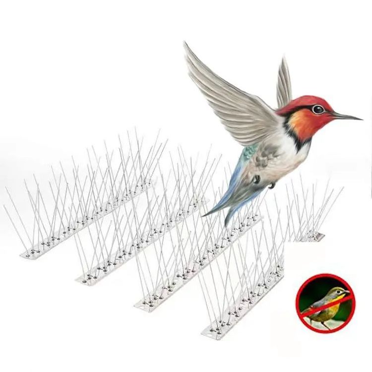 high quality Pigeon Repellent Spikes Stainless Steel Bird Repellent Spikes