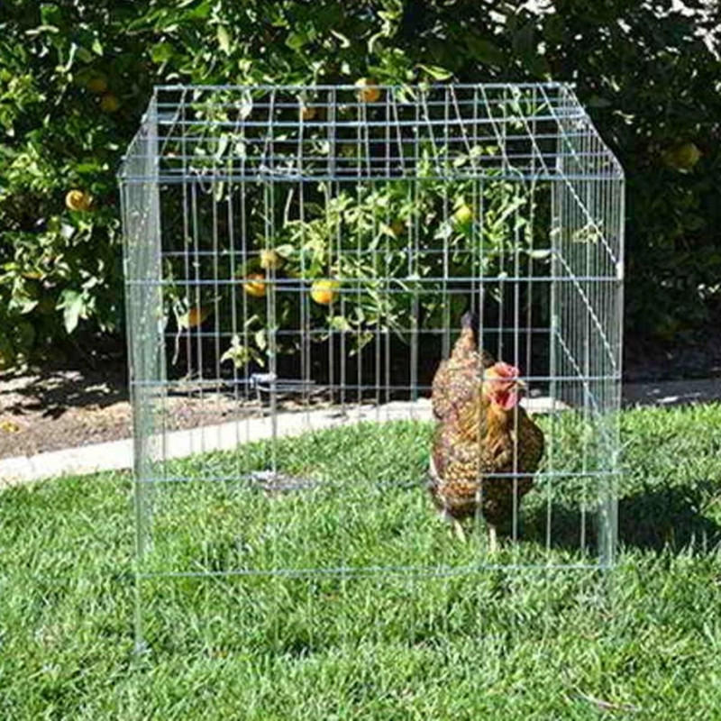 flying square cage/collapsible poultry cages/rooster cages foldable