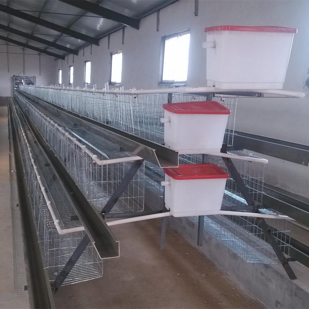 Welded wire mesh cage/pigeon breeding cage