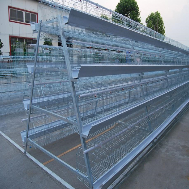 Welded wire mesh cage/pigeon breeding cage