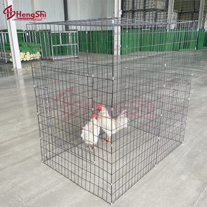 8 gauge ,10 gauge 4x5x5 foldable chicken cage with spring door