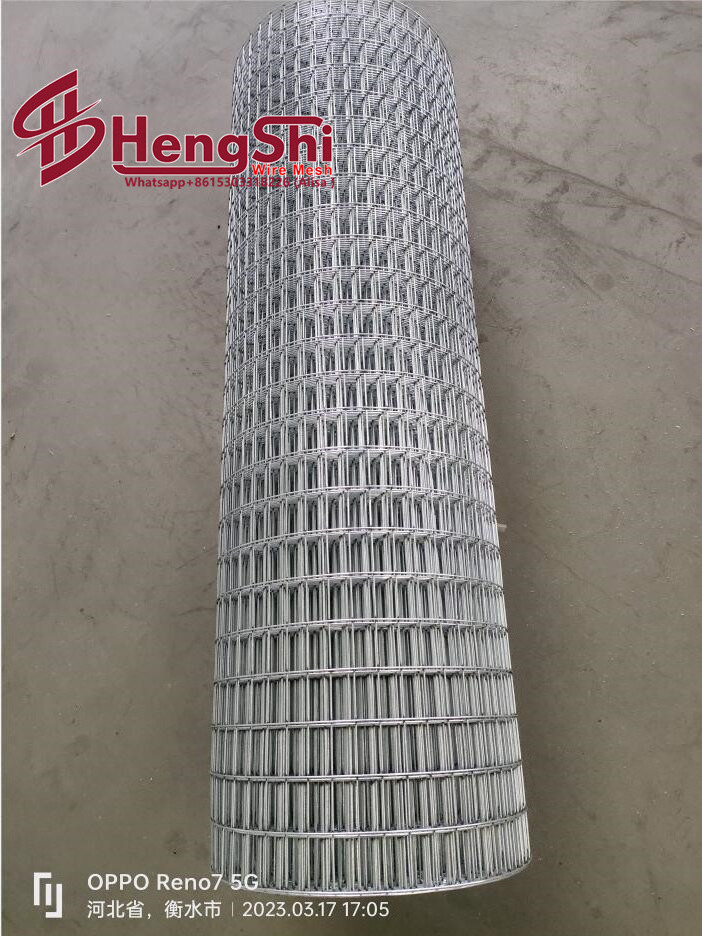 Electro galvanized welded wire mesh