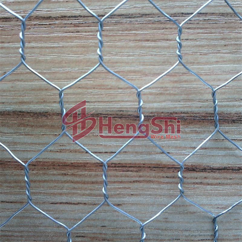 heavy duty chicken wire/pvc coated chicken wire mesh/poultry wire 12 hex mesh chicken wire