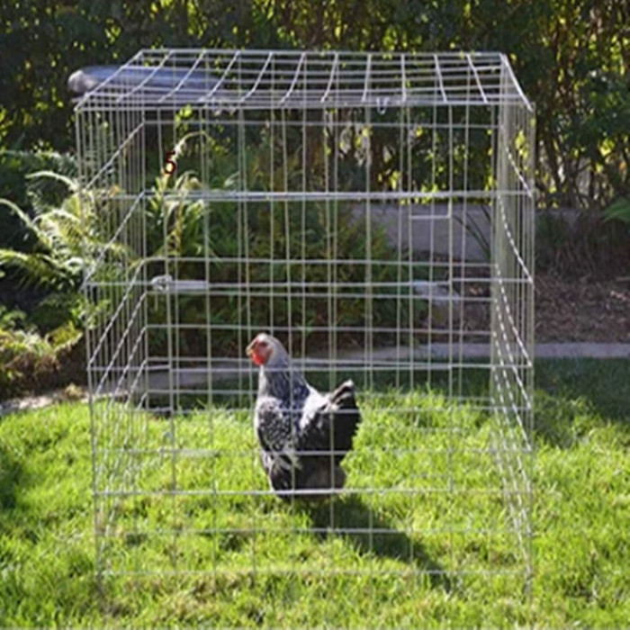 flying square cage/collapsible poultry cages/rooster cages foldable