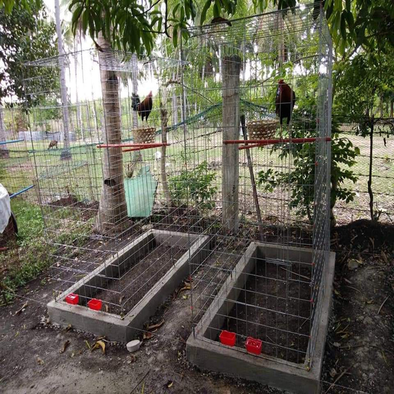 gamefowl cage/flying pen/rooster cages