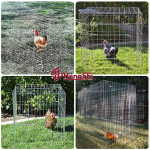 Flying Pen for Chicken/gamefowl Rooster/chicken Cage Chicken Run Coops Competitive Price Farms Galvanized in Pallets 3 Months 20