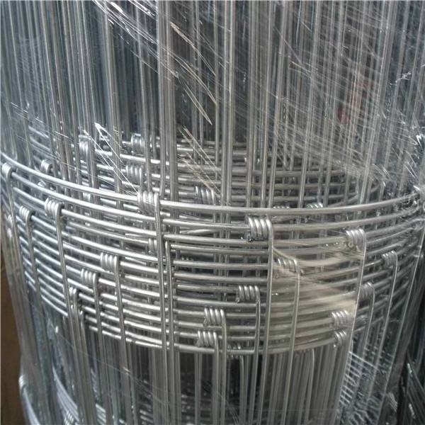 fixed knot woven field fencing hog wire