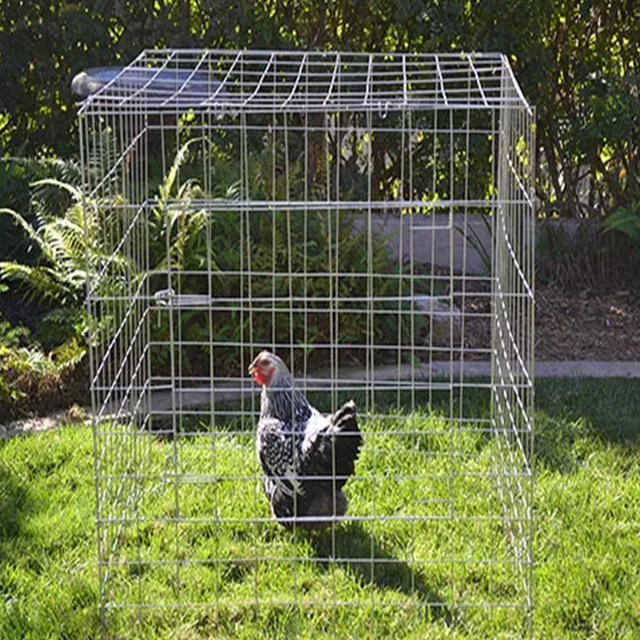 12 gauge wire chicken cage 40