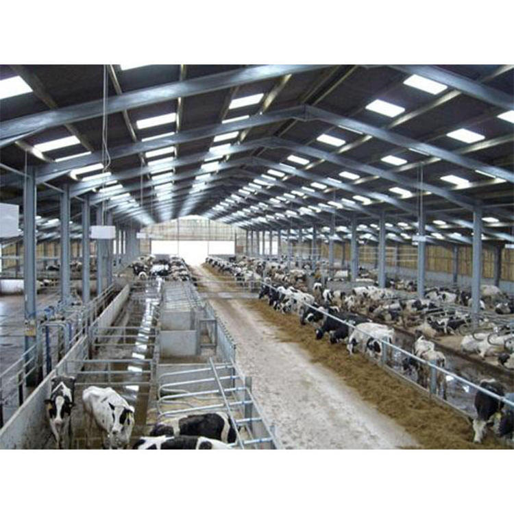 Pre-engineered design for steel structure cow/cattle farm house shed for sale