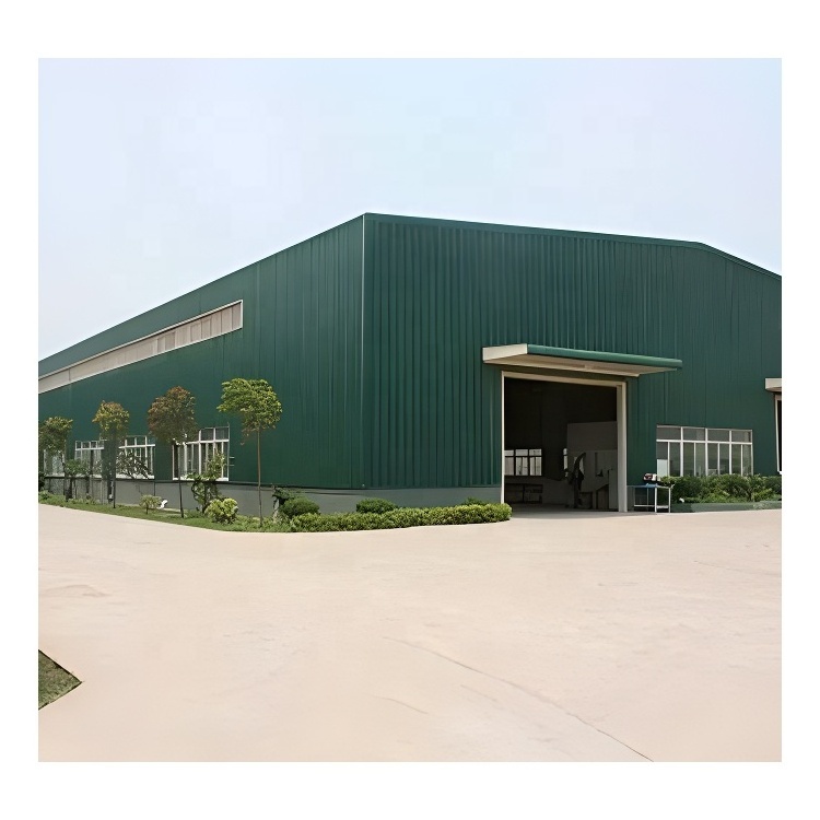 Construction sturdy and durable space frame steel structure/steel workshop building