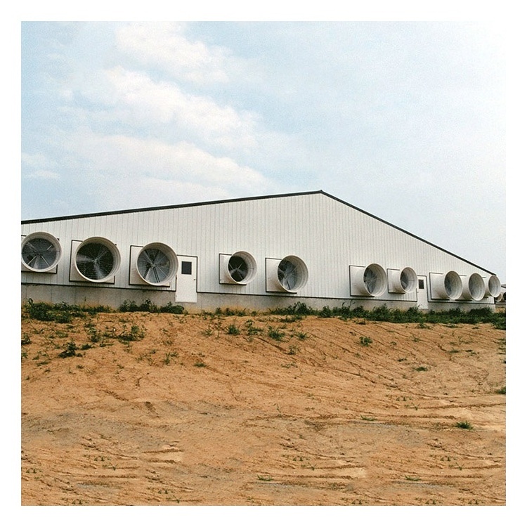 Free design of low cost prefabricated steel structure for pig farm house chicken house cow shed made by Chinese factory