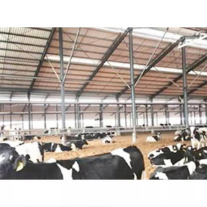 Pre-engineered design for steel structure cow/cattle farm house shed for sale