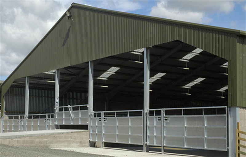 Steel Warehouse Building Sports Hall Inside Riding Steel Structure Prefabricated Horse Barn