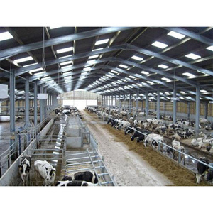 Steel Structure Cow Shed Low Cost Cow Farm Building for Cow and Cattle