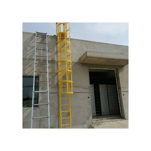 Outdoor Galvanized Steel Vertical Safety Ladder Anti-rust And Corrosion Fixed Roof Cage Access Step Ladder