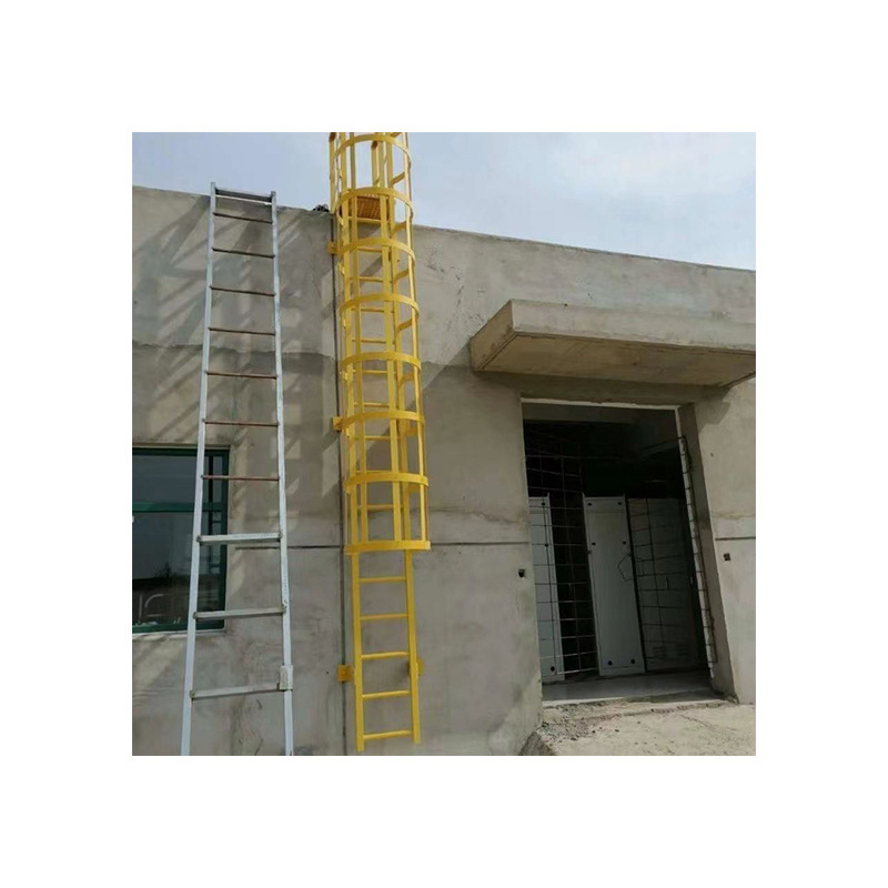 Custom Outdoor Vertical Step Cage Cat Ladder Industrial Fixed Rooftop Access Ladder