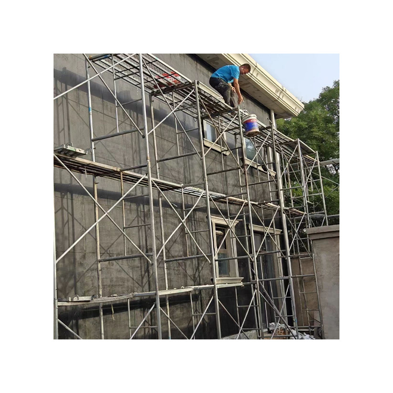 Wholesale Price Building Construction Steel Ladder Frame Scaffolding For Sale