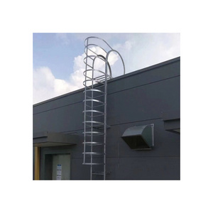 Custom Outdoor Vertical Step Cage Cat Ladder Industrial Fixed Rooftop Access Ladder