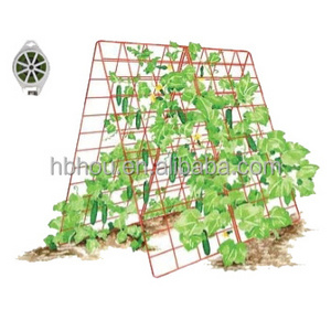 Eco Friendly Cucumber Trellis  Plant Support Wire