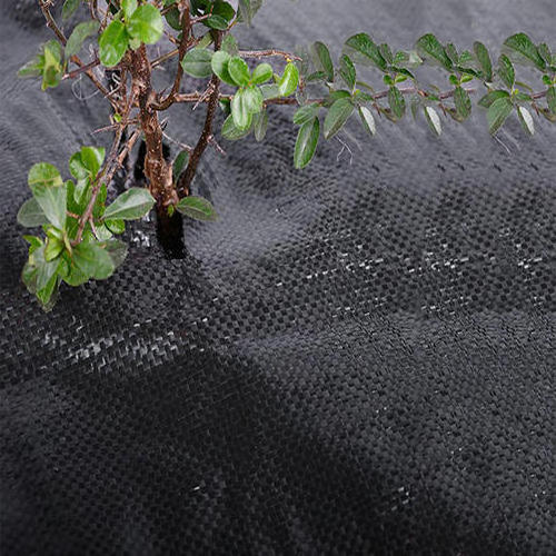 HESHENG 2020 120 140GSM Plant root protection waterproof Black PP woven Anti grass cloth weed mat