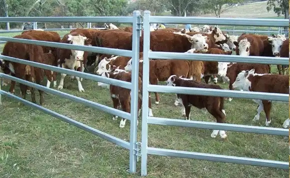 2024//High quality cheap livestock horse yard panel galvanized portable cattle fence corral panels for sale