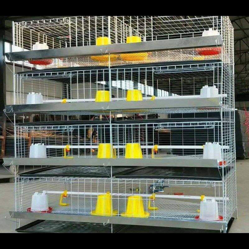 Dual System Raising Farming Equipment 4 Tiers H Type  Poultry Chicken Cage Little Chicks Cage