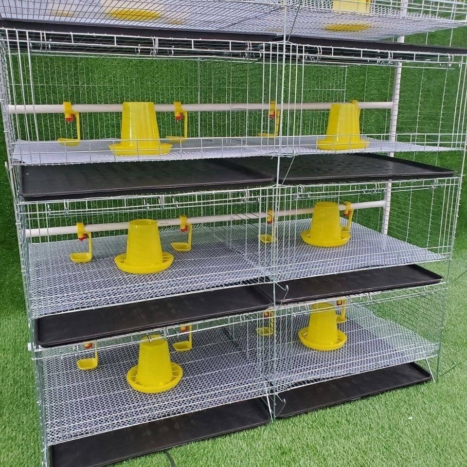 Dual System Raising Farming Equipment 4 Tiers H Type  Poultry Chicken Cage Little Chicks Cage