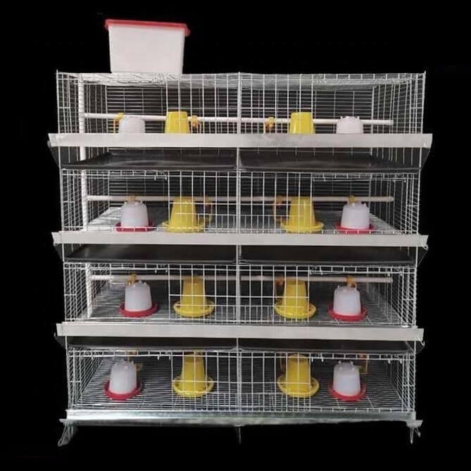 Dual System Raising Farming Equipment 4 Tiers H Type  Poultry Chicken Cage Little Chicks Cage