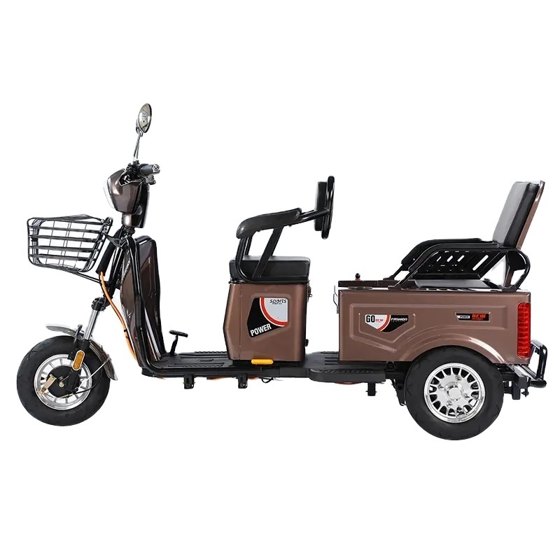 500w-1000w three-wheel electric vehicle factory pull cargo load electric bicycle pull guests 3-wheel electric motorcycle