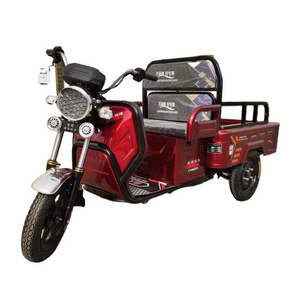 1000W 2000w Cheap Fat Tire Three Wheel Electric scooter tricycle motorcycle loading 1000kg cargo electric tricycle