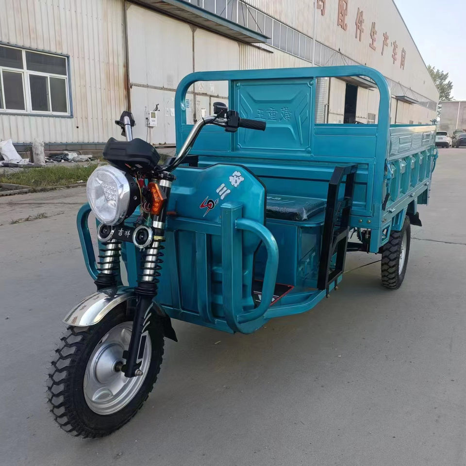 1000W 2000w Cheap Fat Tire Three Wheel Electric scooter tricycle motorcycle loading 1000kg cargo electric tricycle