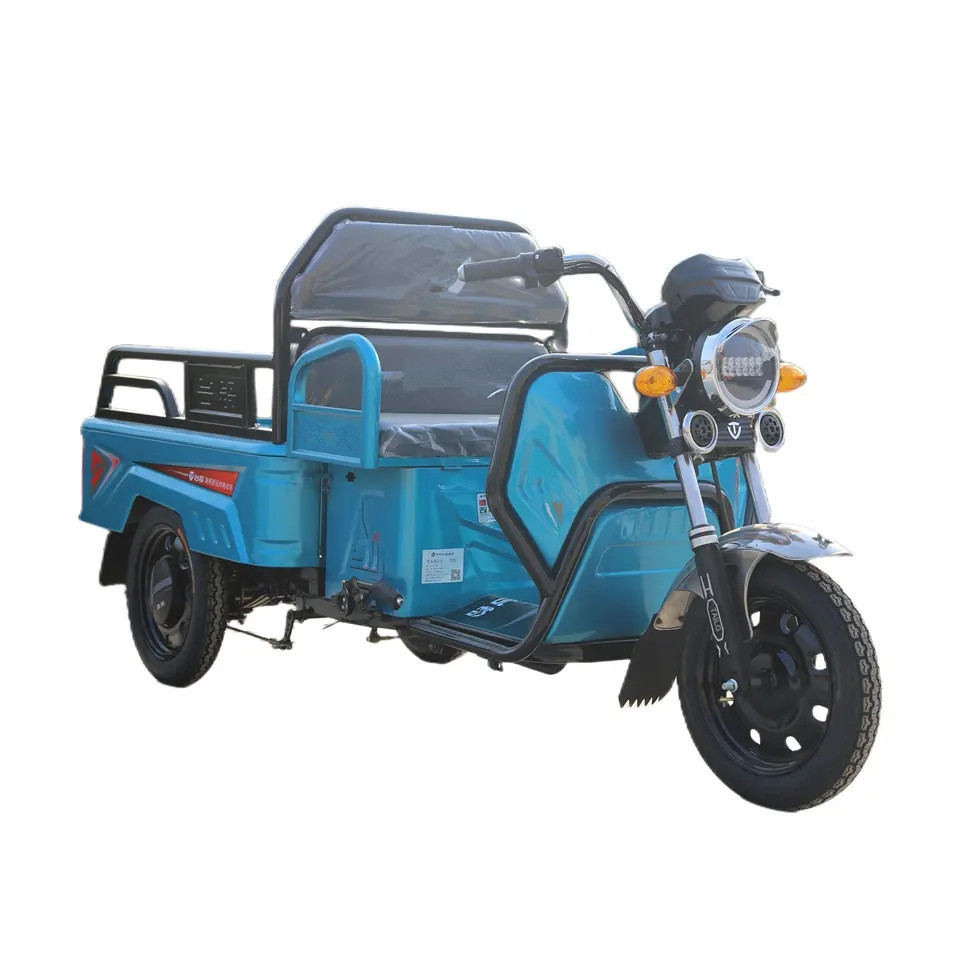 600W/800W/1000W Tricycle Adult Electric Electric Cargo Bike Trikes Electric Motorcycle 4 Wheel Electric Bike 60V Open