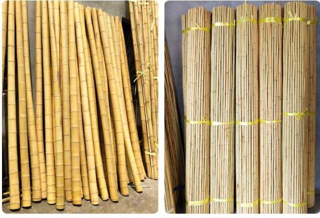 Raw decorative bamboo poles straight cheap price bamboo fencing roll